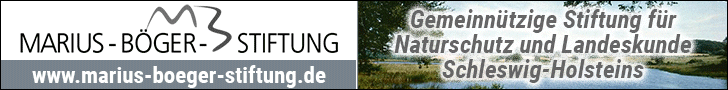 Marius-Böger-Stiftung