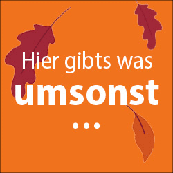 sh:z Schleswig-Holsteinischer Zeitungsverlag GmbH & Co.KG