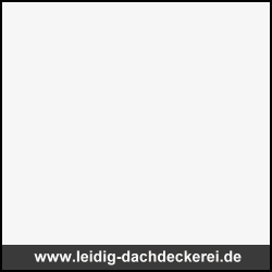 Leidig GmbH Dachservice