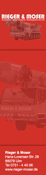 Rieger & Moser GmbH & Co Kranarbeiten