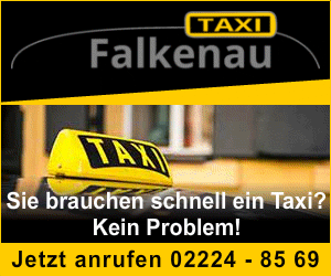 Taxi- und Mietwagen Falkenau