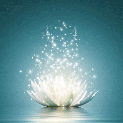 Bestattungshaus C. Spindler Inh. Pierre Spindler