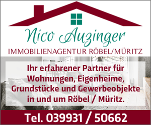 Immobilienagentur Nico Auzinger Makler