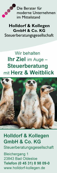 Holldorf & Kollegen GmbH & Co. KG Steuerberatungsgesellschaft